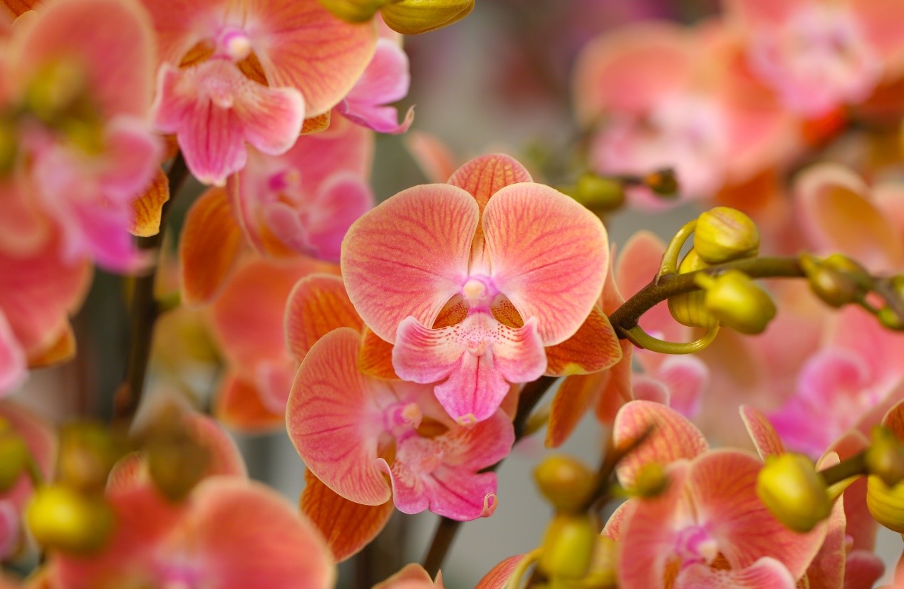 1705304150110878XDpV.jpg 10.jpg