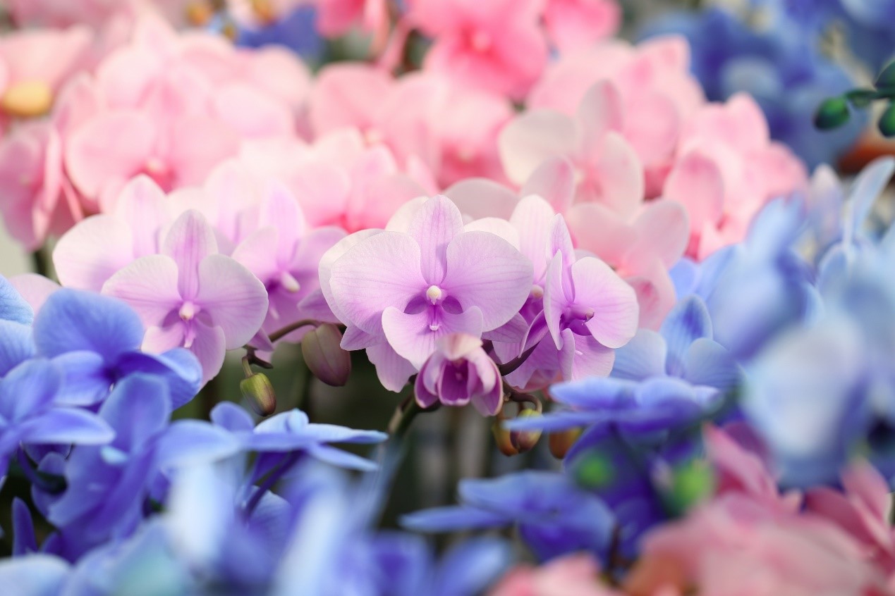 1705304203392105FhOB.jpg 15.jpg