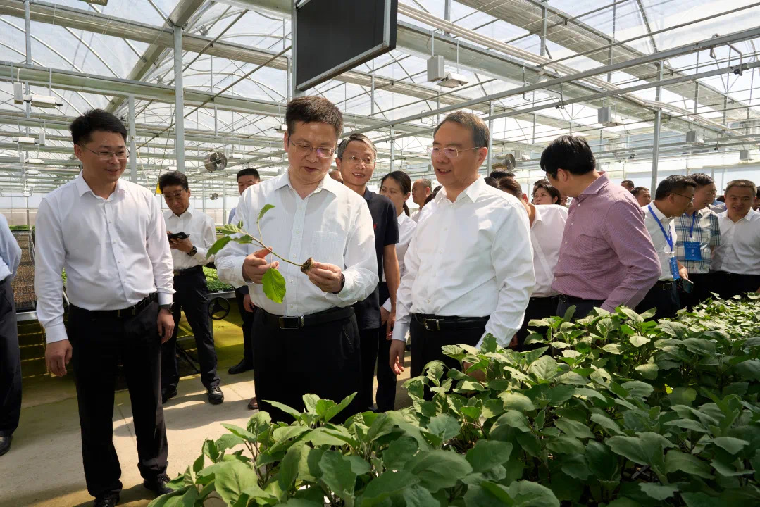 1715940262622661N3lZ.jpg 4.jpg