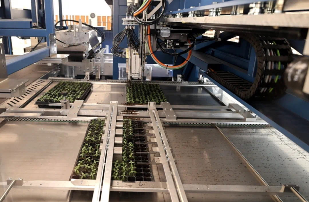 17159402884083537Off.jpg 5.jpg